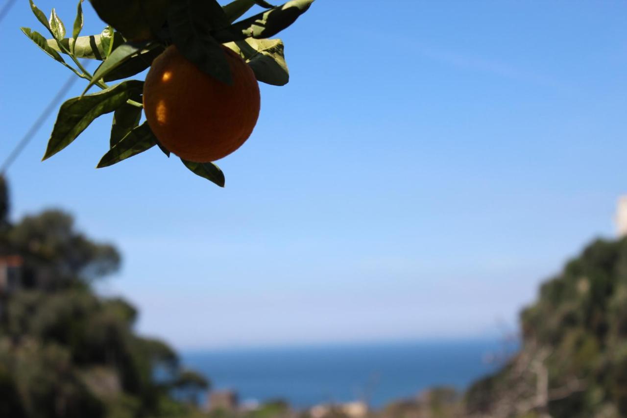 La Casetta Di Asia Vico Equense Exterior photo