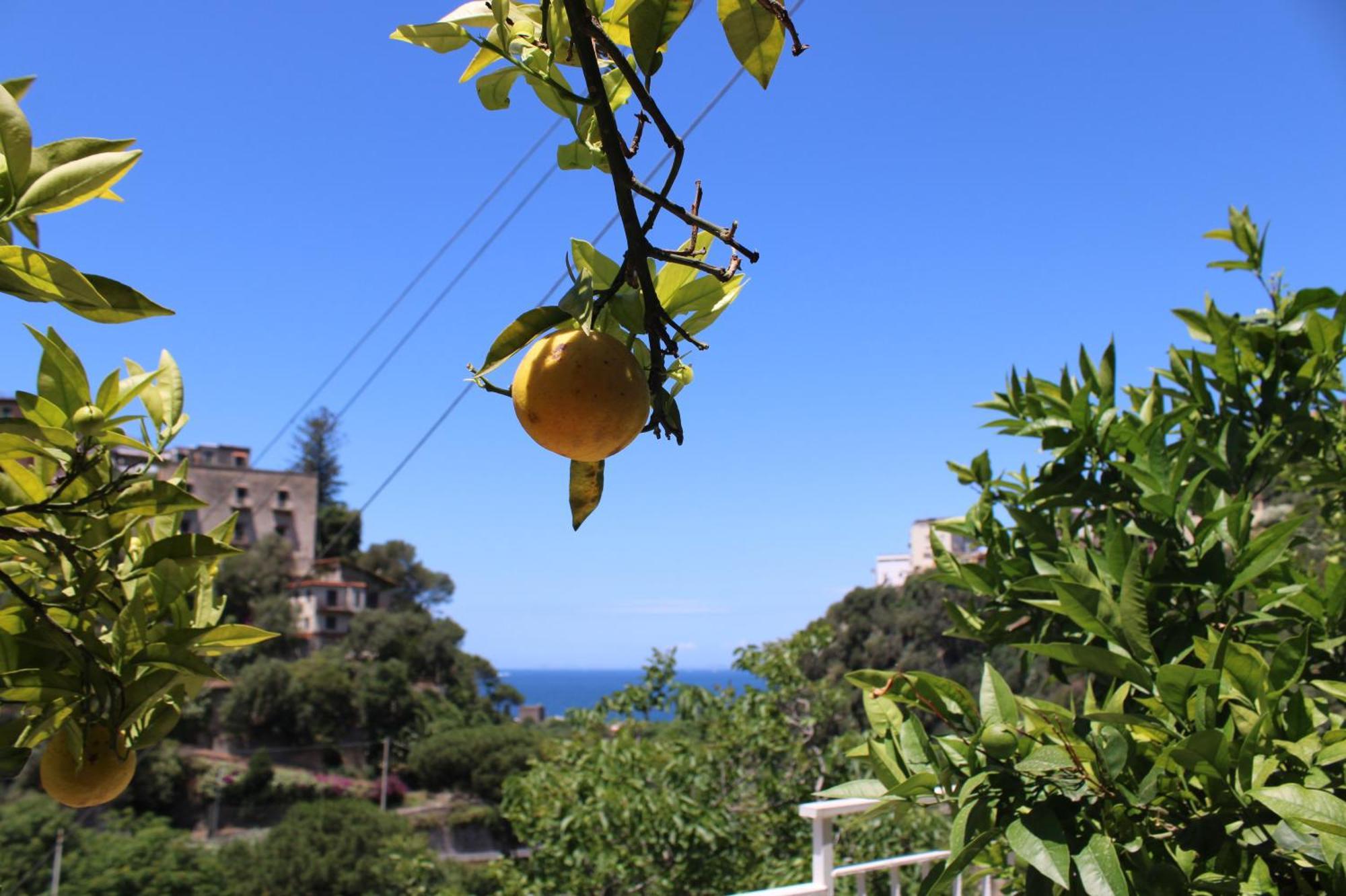 La Casetta Di Asia Vico Equense Exterior photo